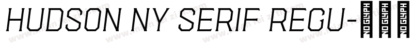 Hudson NY Serif Regu字体转换